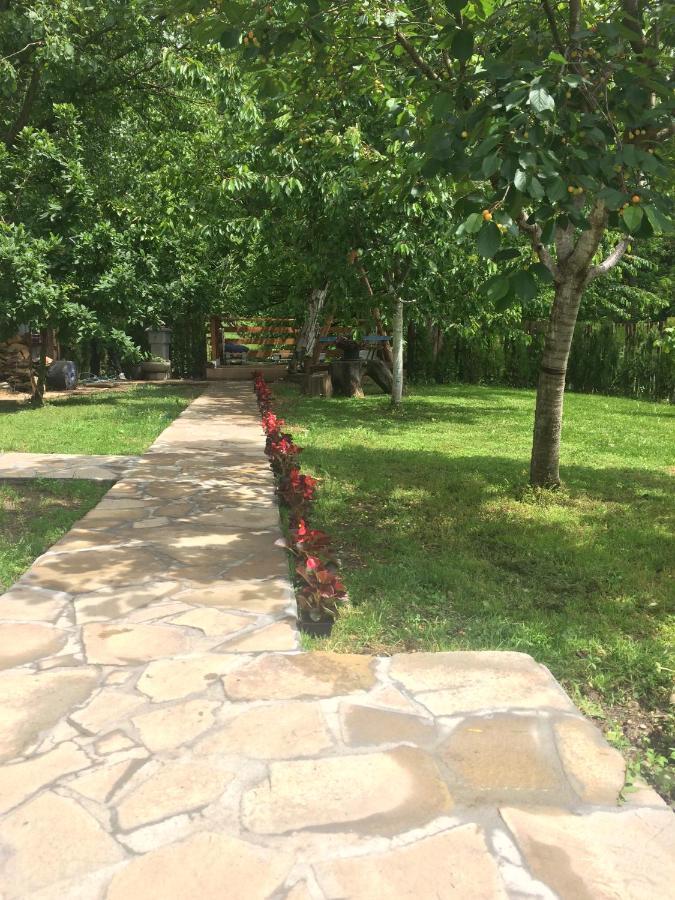 Domacinstvo Trifunovic Apartment Pretresnja Exterior photo