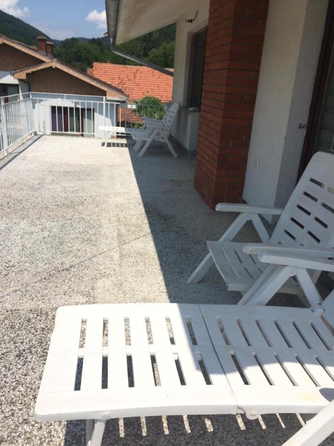 Domacinstvo Trifunovic Apartment Pretresnja Exterior photo