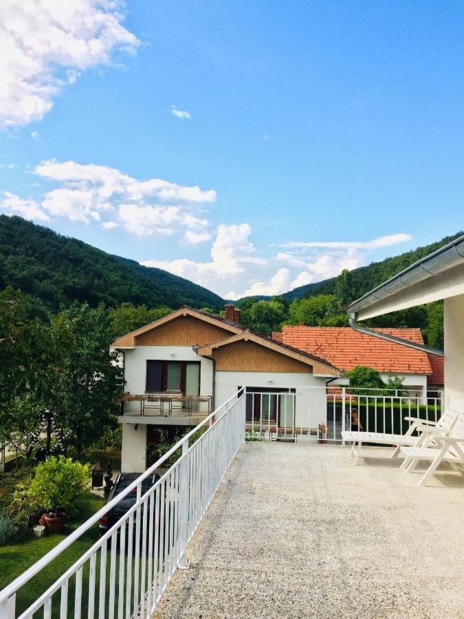 Domacinstvo Trifunovic Apartment Pretresnja Exterior photo