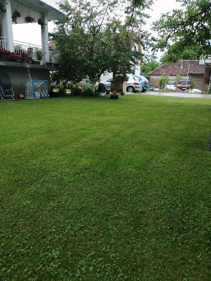 Domacinstvo Trifunovic Apartment Pretresnja Exterior photo