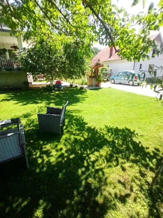 Domacinstvo Trifunovic Apartment Pretresnja Exterior photo